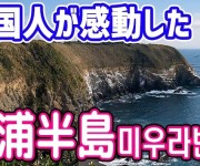 0_1666868115.583.jpg
