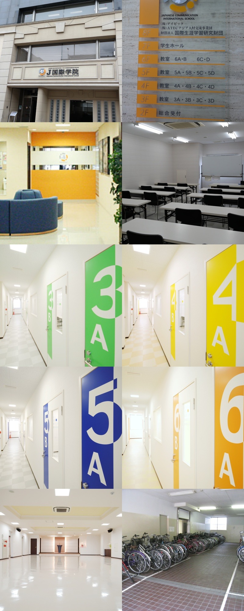 SAM_1708-tile.JPG