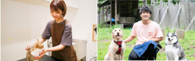 ペット 1 -tile.png