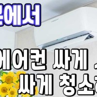 일한모.jpg